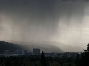 rain in Portland